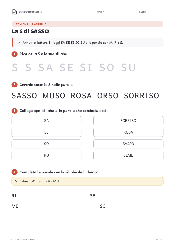 Anteprima della scheda La S di SASSO