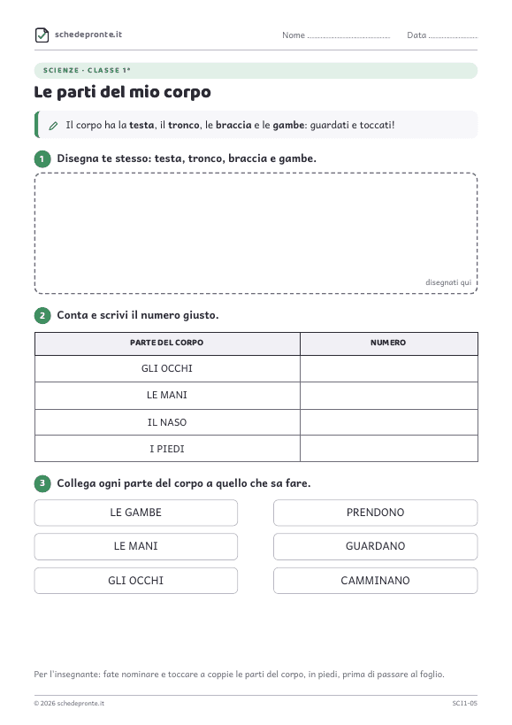 Anteprima della scheda Le parti del mio corpo